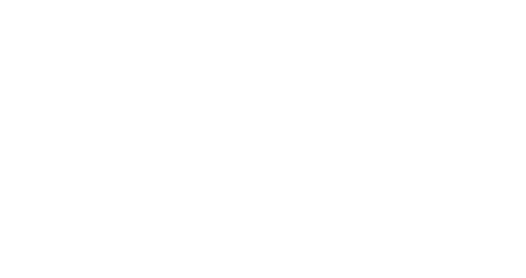 Sonic Logo
